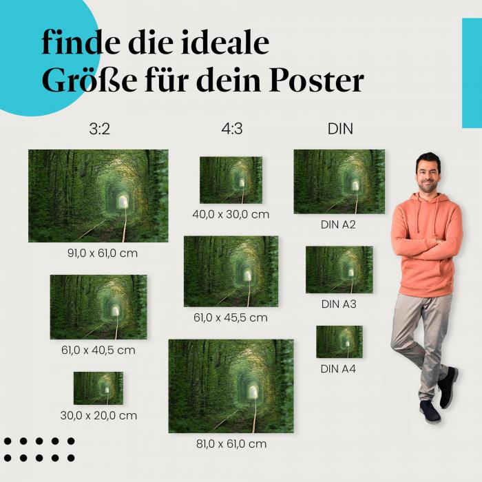 Grüner Tunnel der Liebe Ukraine: Tunnel der Liebe - jetzt Poster bestellen!