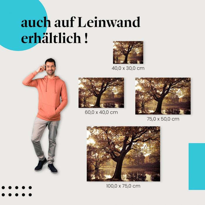 "Einsamer Baum am See" Leinwandbild. Finde die ideale Größe für dein Zuhause & setze Akzente mit Kunst!