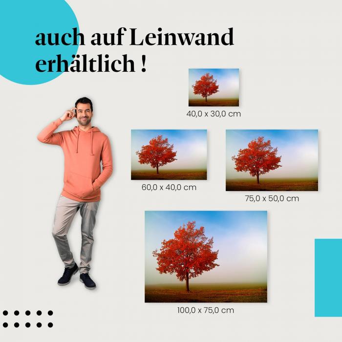 Herbstbaum: Leinwandbild. Rote Blätter, nebliges Feld. Wähle deine Größe.