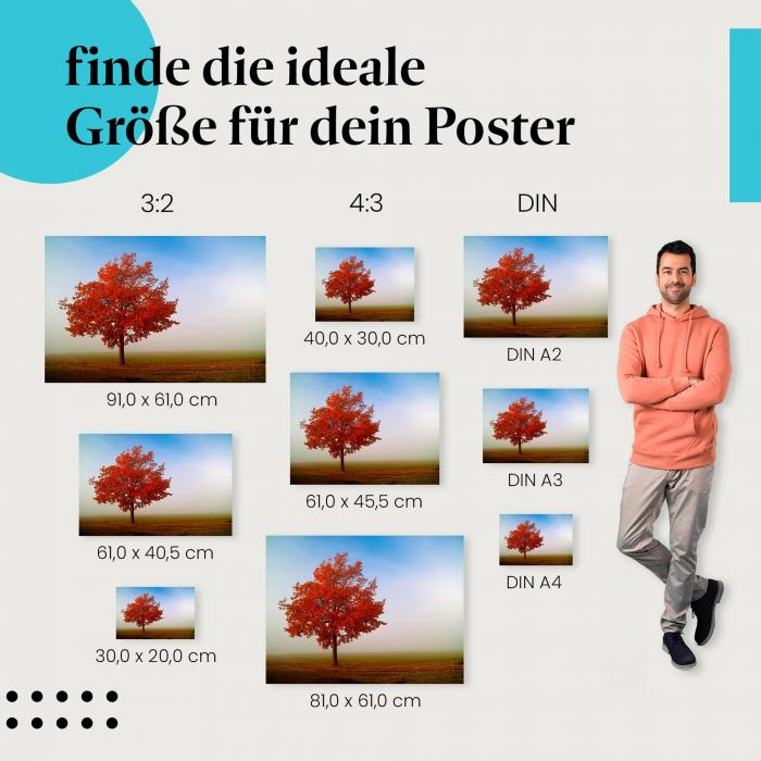 Finde die ideale Postergröße: Baum mit roten Blättern, nebliges Feld, Herbst.