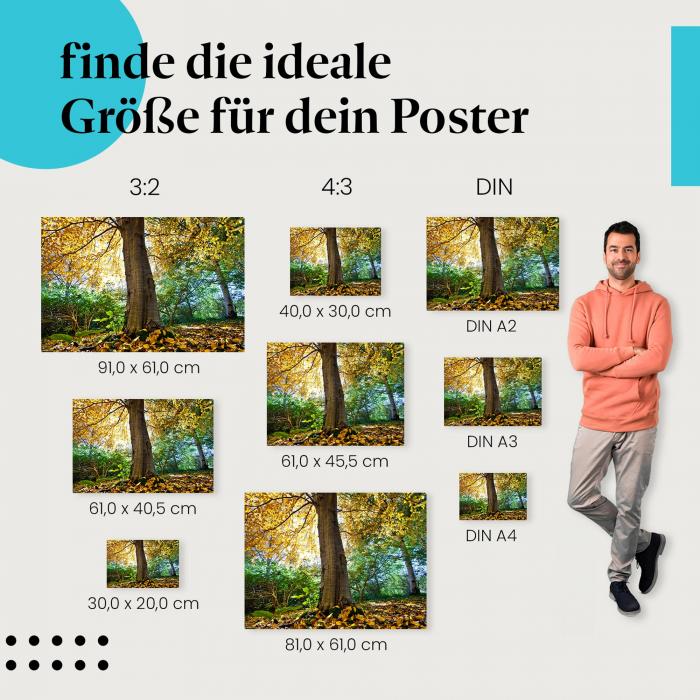 Herbstlicher Wald Poster: Herbstlandschaft - jetzt Poster bestellen!