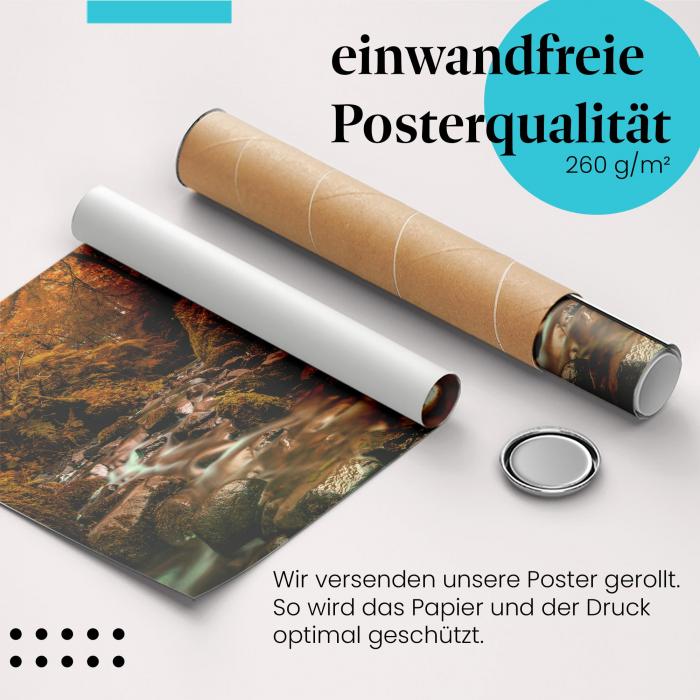 Gerolltes Poster "Waldbach" - Ruhige Natur, sicher verpackt.