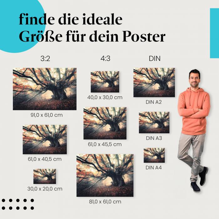 Wähle die ideale Postergröße: Ein uralter Baum mit knorrigen Ästen und buntem Herbstlaub in einem nebligen Wald - mystische Stimmung für dein Zuhause.