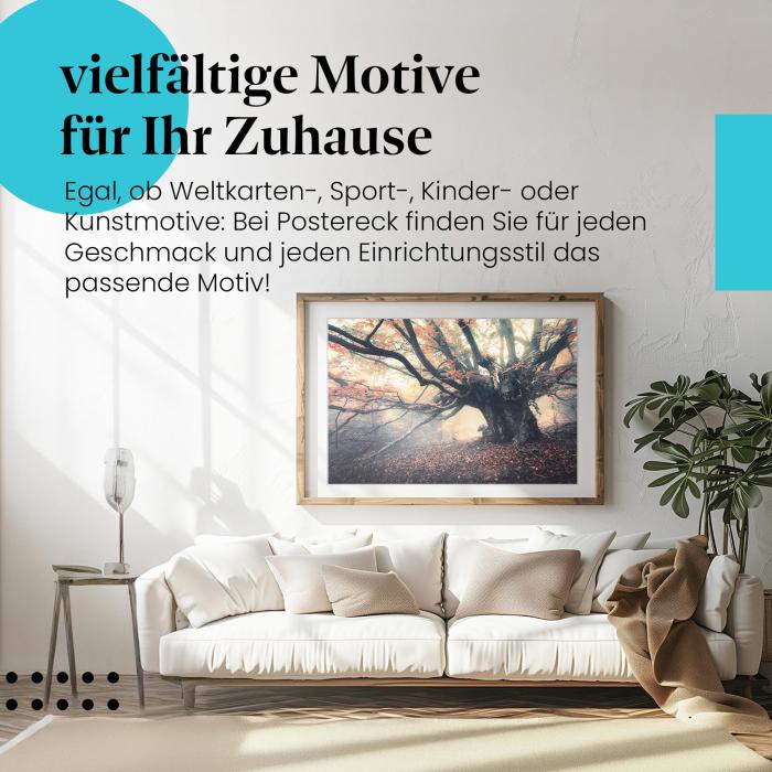 Herbstzauber im Wald: Poster "Uralter Baum" in Nebel gehüllt, für mystische Stimmung.