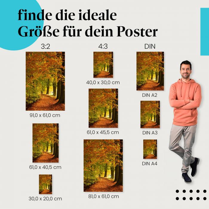 "Farbenfroher Herbstwald: Ein Spaziergang im Blättermeer": Poster - Landschaft & Farben