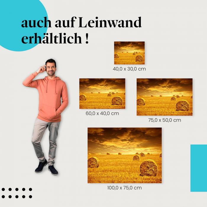 Leinwandbild "Goldene Stunde": Ländliche Idylle & Sommerfeeling