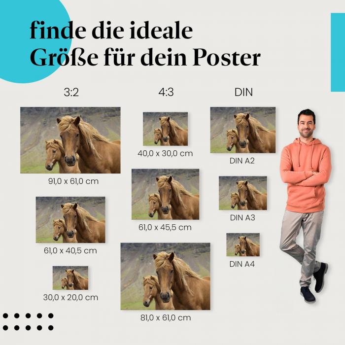 Islandpferde Poster: Pferde Poster - jetzt Poster bestellen!