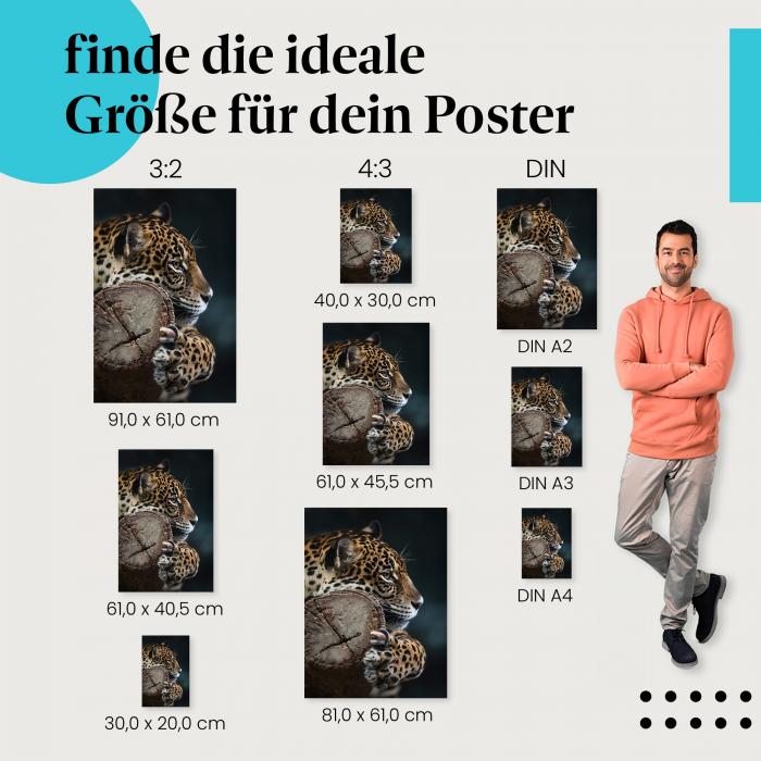 Jaguar, Poster: Baumstamm, Blick, Fell, Krallen.