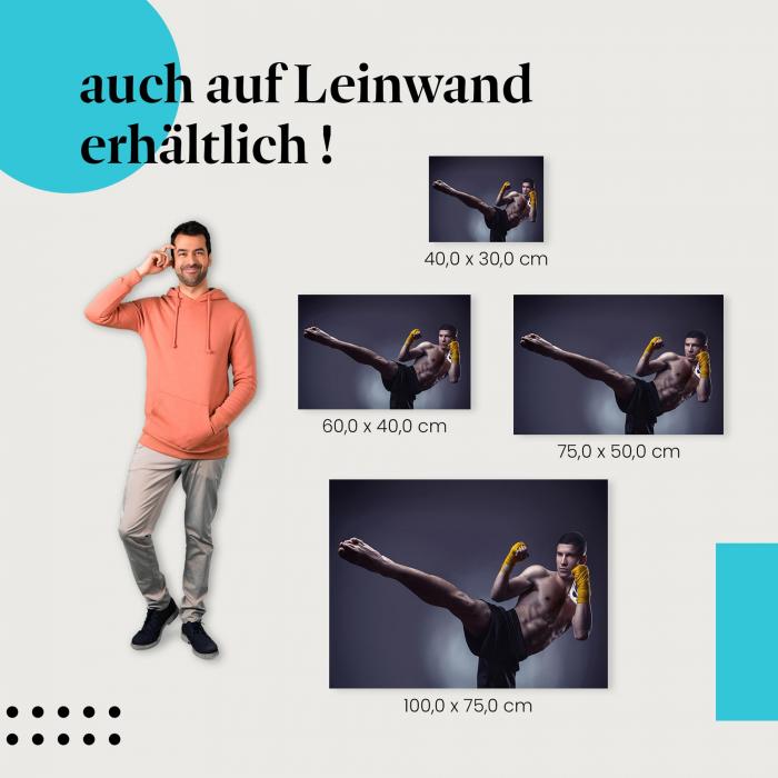 Kampfsport: Leinwandbild. Mann, Kick, Eleganz.