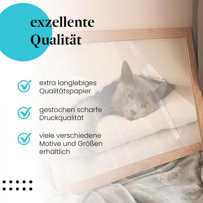 "Gemütliche Katze im Bett" - Wandbild. Hochwertig gedruckt, verschiedene Größen.