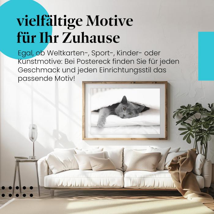 Dieses Leinwandbild mit der Katze im Bett ist ein Hingucker und versprüht Gemütlichkeit.