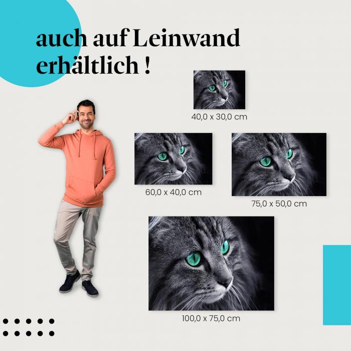 "Katzenaugen" Leinwandbild: verschiedene Größen - für deine persönliche Wandgestaltung - Miauz!