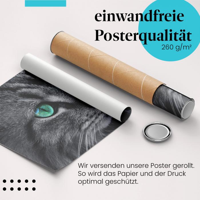 Gerolltes Poster "Katzenaugen" - Mysteriöser Katzenblick, sicher verpackt.