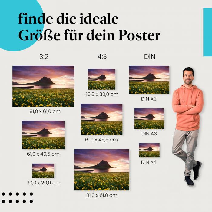 Kirkjufell, Poster: Island, Sonnenuntergang, Blumen.