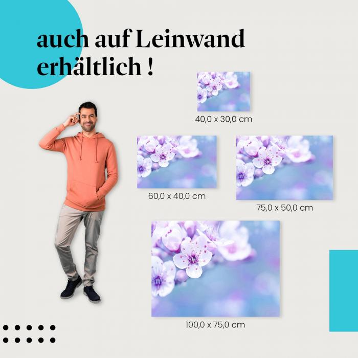 Leinwandbild "Zarte Kirschblüten": Frühling & Schönheit auf Leinwand