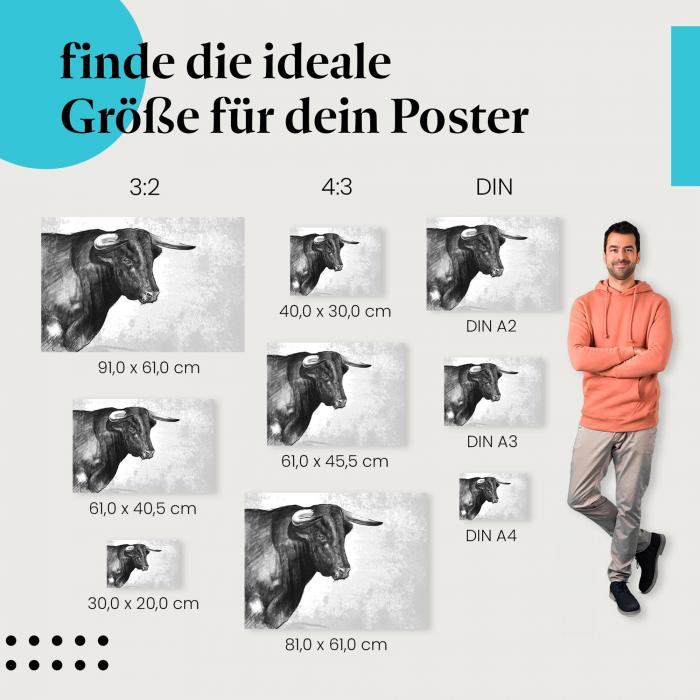 Stier, Poster: Schwarz-weiß, Kraft, Zeichnung.