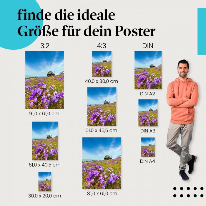 Krokusse, Poster: Wiese, Berghütte, blauer Himmel, Frühling.