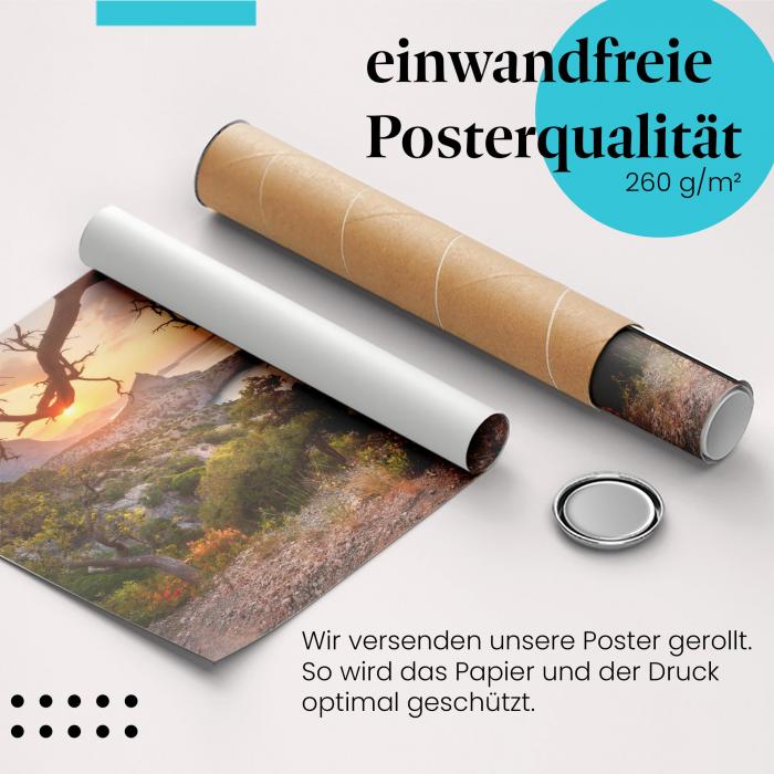 Gerolltes Poster "Baum & Meer". Harmonie von Natur, sicher verpackt.