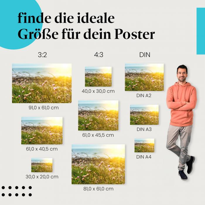 "Sonnenuntergang am Meer: Küstenlandschaft mit Blumen": Poster - Sonnenuntergang & Strand