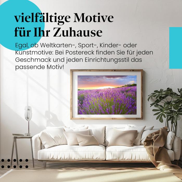 Stylisches Leinwandbild: Lila Pracht: Lavendelfeld im Abendlicht.