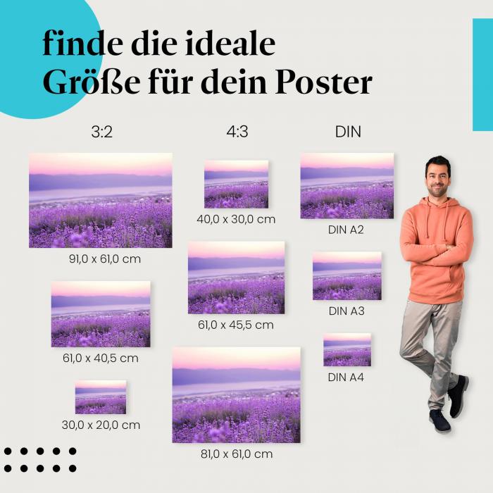 Entdecke die passende Postergröße: Lavendelfeld: Lila Blüten, Sonnenuntergang, Pastelltöne.