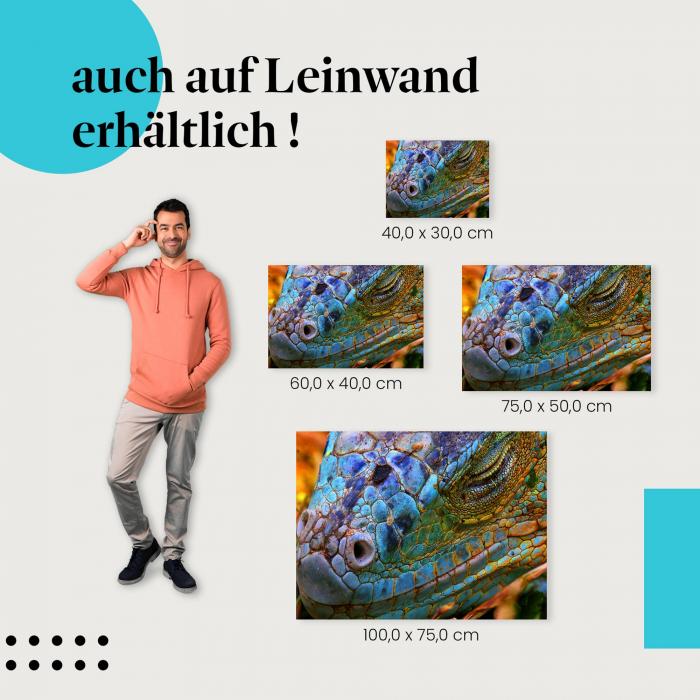 "Leguan" Leinwandbild. Finde die ideale Größe für dein modernes Zuhause & setze Akzente mit Kunst!