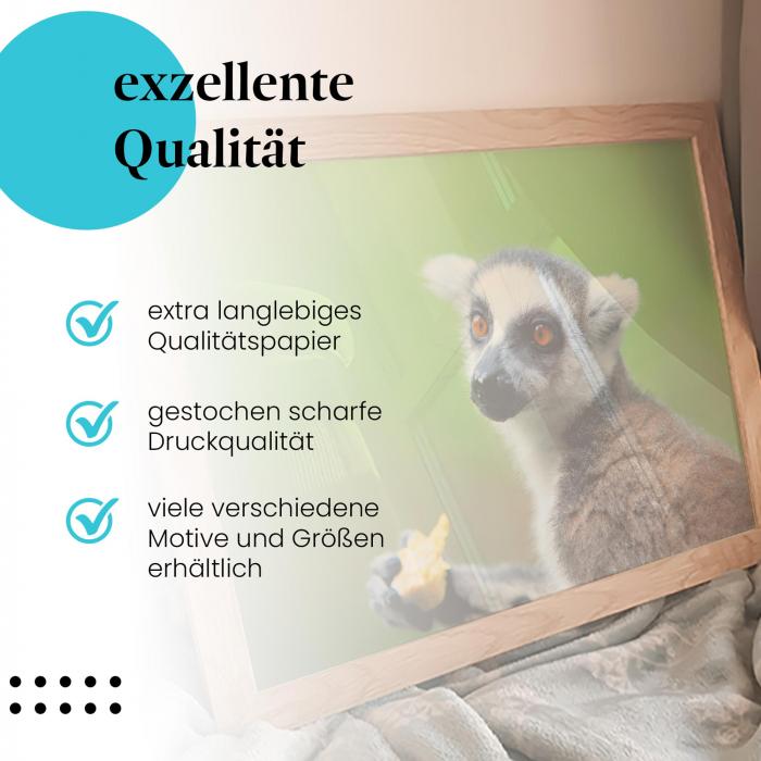 Gerahmtes Bild "Lemur". Tier, Obst, Nahaufnahme.