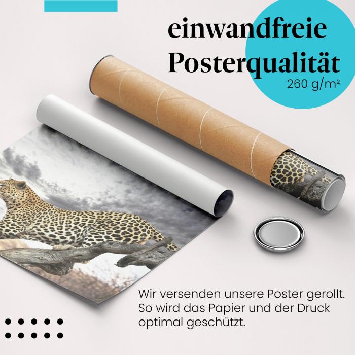 Gerolltes Poster "Leopard". Elegant, Jagd.