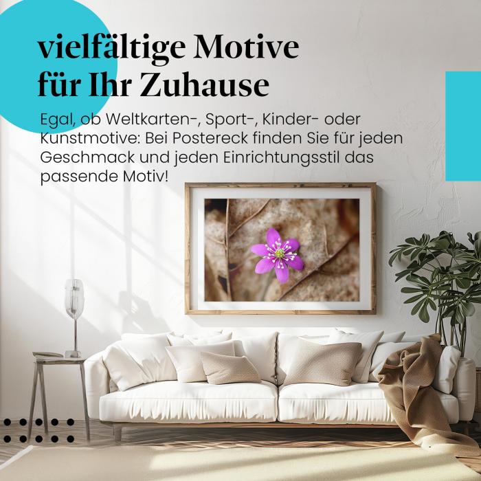 Stylisches Leinwandbild: Kleines Wunder: Lila Blume erblüht auf Herbstlaub.