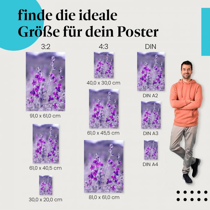 Wähle die ideale Postergröße: Lila Blumen wiegen sich im Wind - Nahaufnahme.