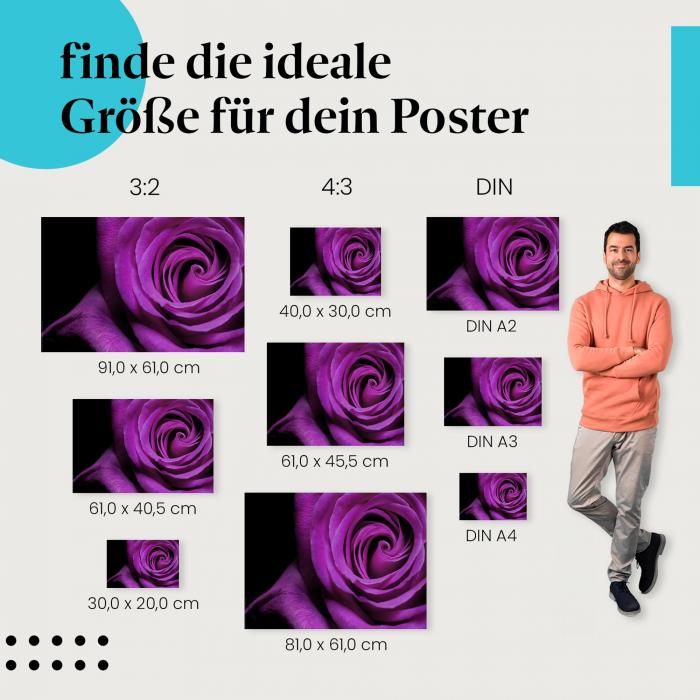 Lila Rose Poster: Finde die perfekte Größe für dein Zuhause!