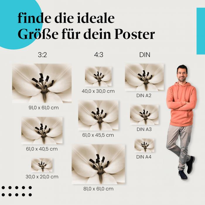 Entdecke die passende Postergröße: Lilienblüte, Sepia, Nahaufnahme, Eleganz.