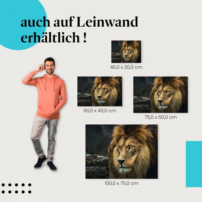 Ein majestätischer Löwe mit einer beeindruckenden Mähne blickt direkt in die Kamera als Leinwandbild. Seine durchdringenden Augen strahlen Stärke und Wildheit aus.