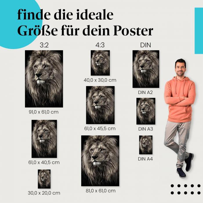 Entdecke die passende Postergröße: Schwarzweiß-Löwe mit imposanter Mähne. Ein Blick voller Stärke!