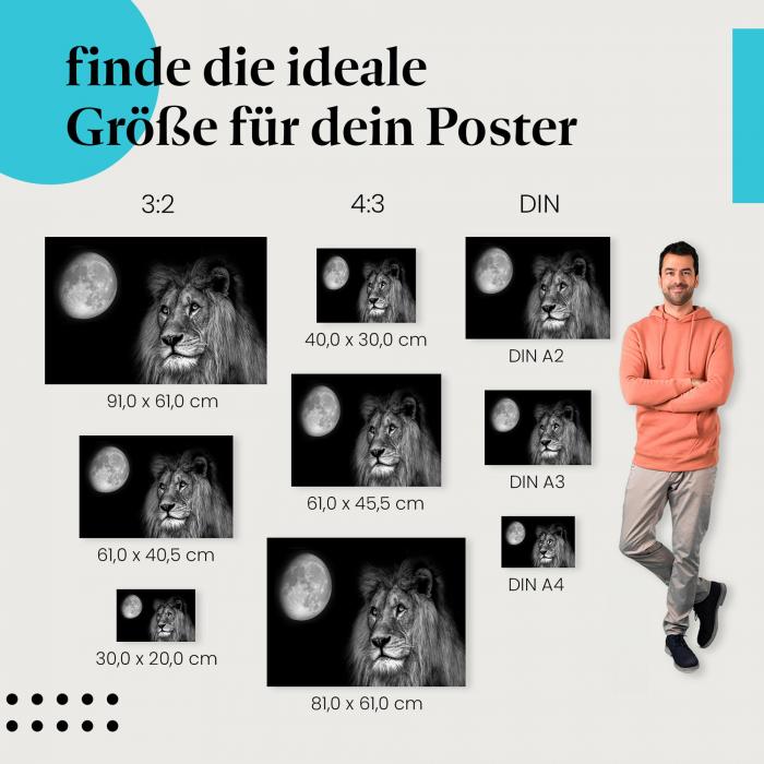 Wähle die ideale Postergröße: Ein Löwe mit Blick in die Ferne, im Hintergrund der Vollmond - majestätische Stimmung für dein Zuhause.