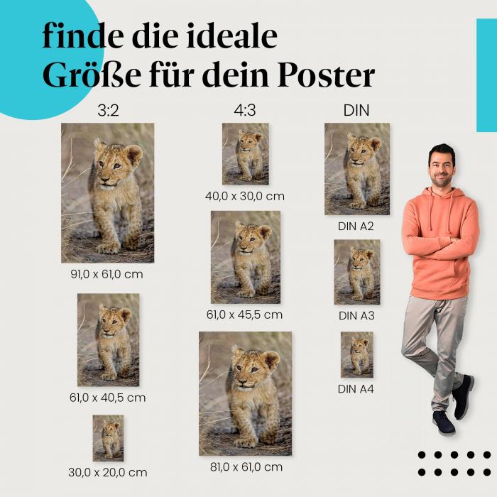 Löwenjunges Poster: Wildkatze Poster - jetzt Postergröße wählen.