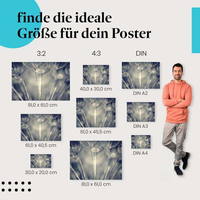 Abstrakt & elegant: "Filigrane Schönheit" - Poster mit Löwenzahnsamen in Schwarzweiß