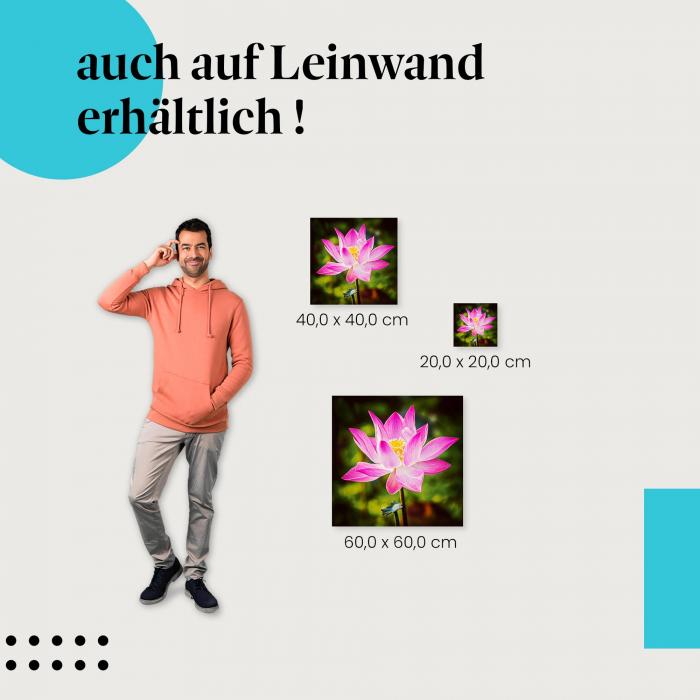 Pinke Lotusblüte: Leinwandbild. Nahaufnahme, wähle deine Größe!