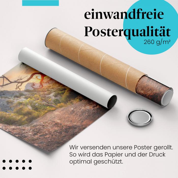 Gerolltes Poster "Baum am Abgrund". Spannendes Naturmotiv, sicher verpackt.