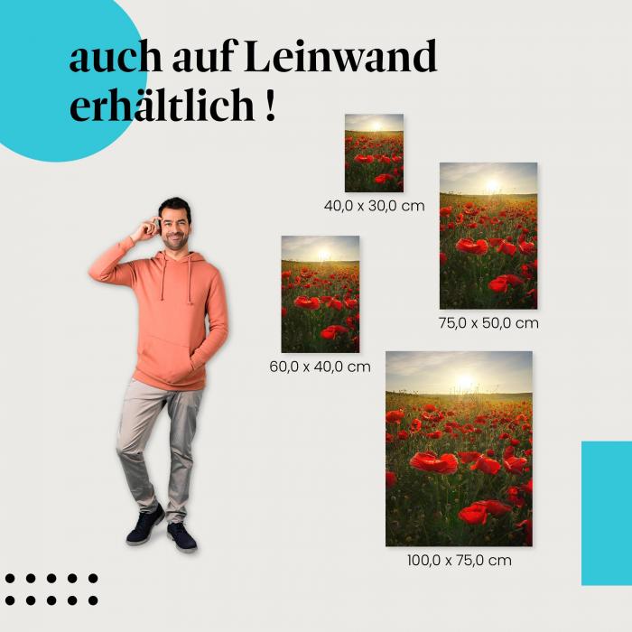 Mohnblumen: Leinwandbild. Rot, Sonnenuntergang, traumhaft.