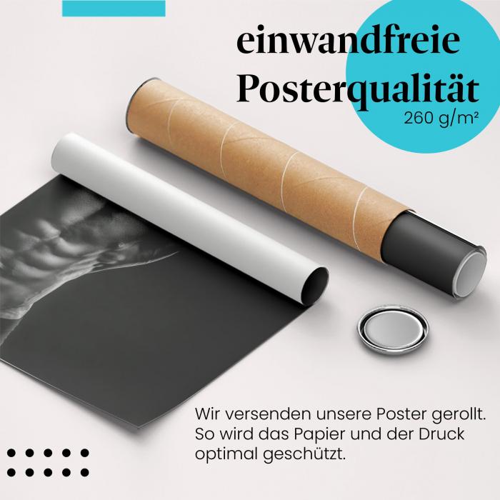 Gerolltes Poster "Bizeps". Kraft & Definition, sicher verpackt.