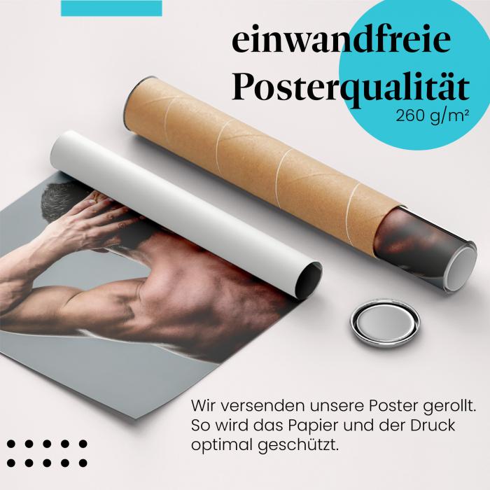 Gerolltes Poster "Muskulatur". Fitness & Stärke, sicher verpackt.