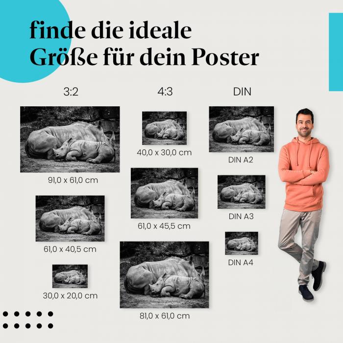 Nashörner, Poster: Mutter & Kalb, Schwarz-Weiß, schlafend.