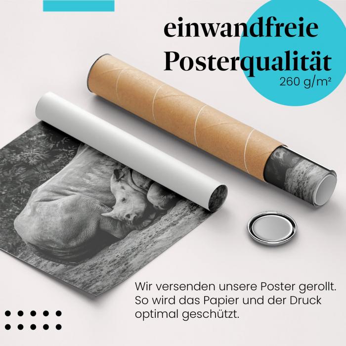 Gerolltes Poster "Nashornmutter & Kalb" - Tierische Zuneigung, sicher verpackt.