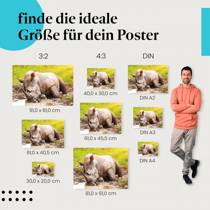 "Nashorn im Schlamm": Poster - Nashorn, Vogel & Sonne