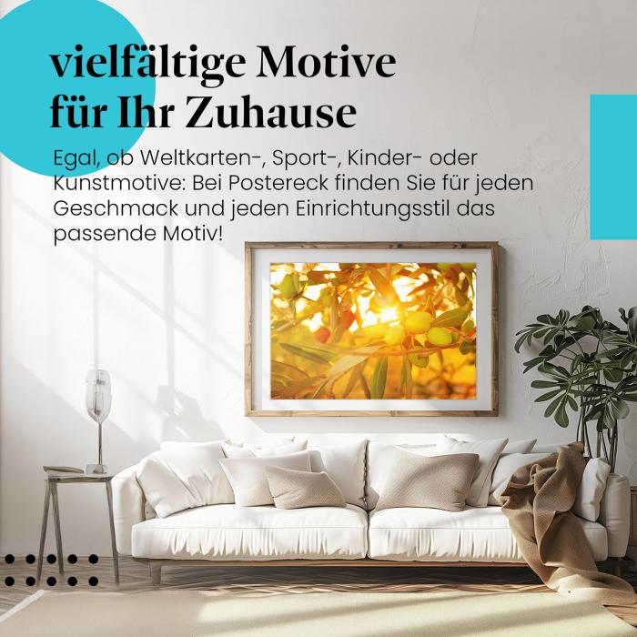 Dieses Leinwandbild mit dem Olivenhain versprüht mediterranes Flair und ist ein Hingucker für alle Naturliebhaber.