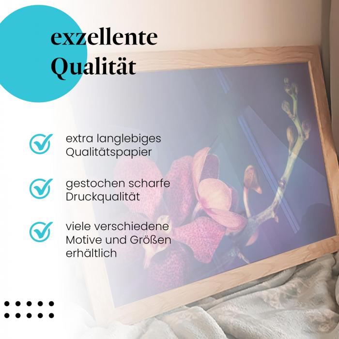 "Exotische Orchidee": Gerahmtes Wandbild - Blauer Hintergrund.