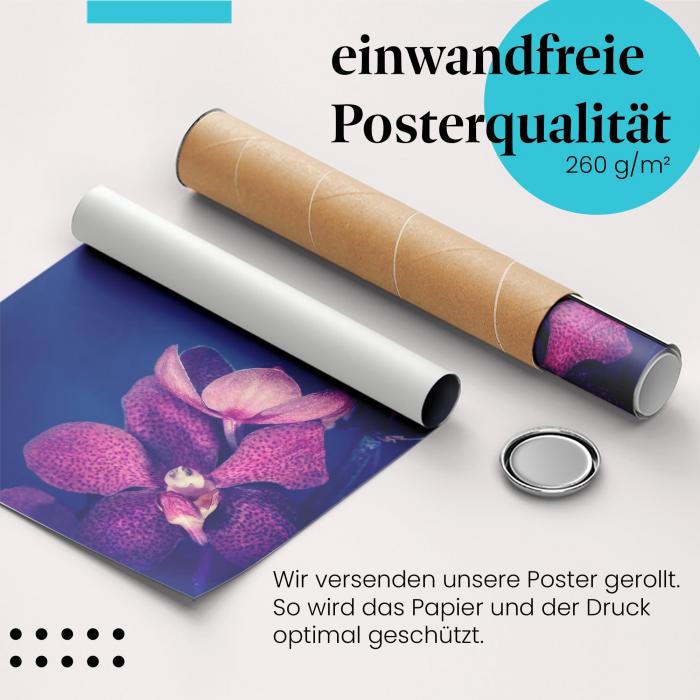 Gerolltes Poster "Orchidee", blau, exotisch.