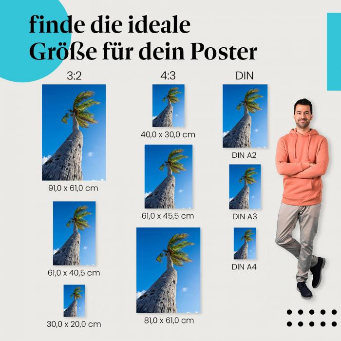 Palme, Poster: Wind, blauer Himmel, Wolken.