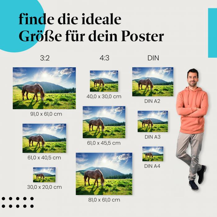 Pferd, Poster: Weide, Berge, Sonnenuntergang, friedlich.